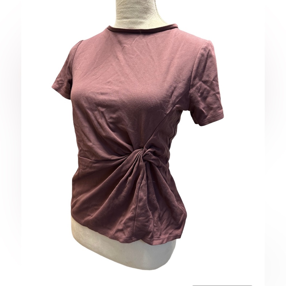 Express Plum T Shirt With Cinched Waist